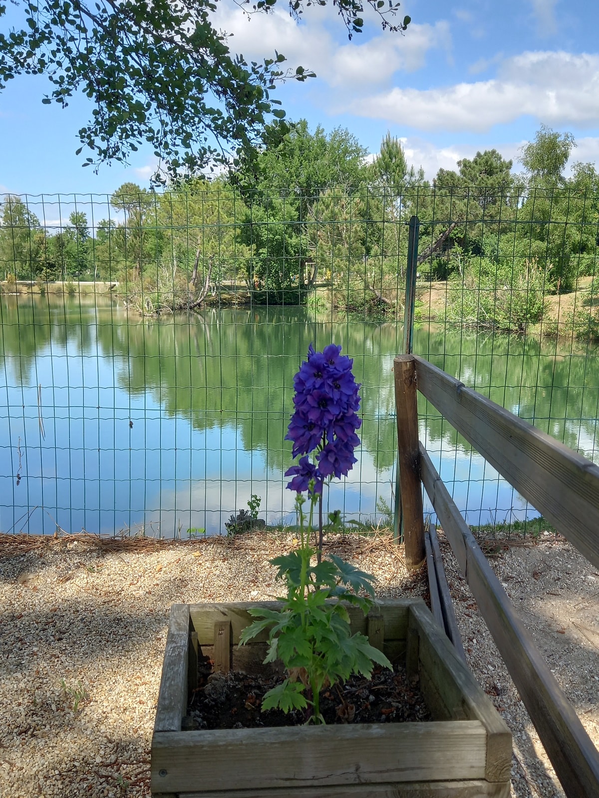  Camping Les Étangs Mina — Foto 8