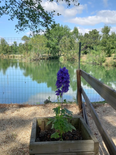  Camping Les Étangs Mina