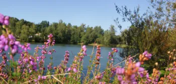  Camping Les Étangs Mina - Ucamping