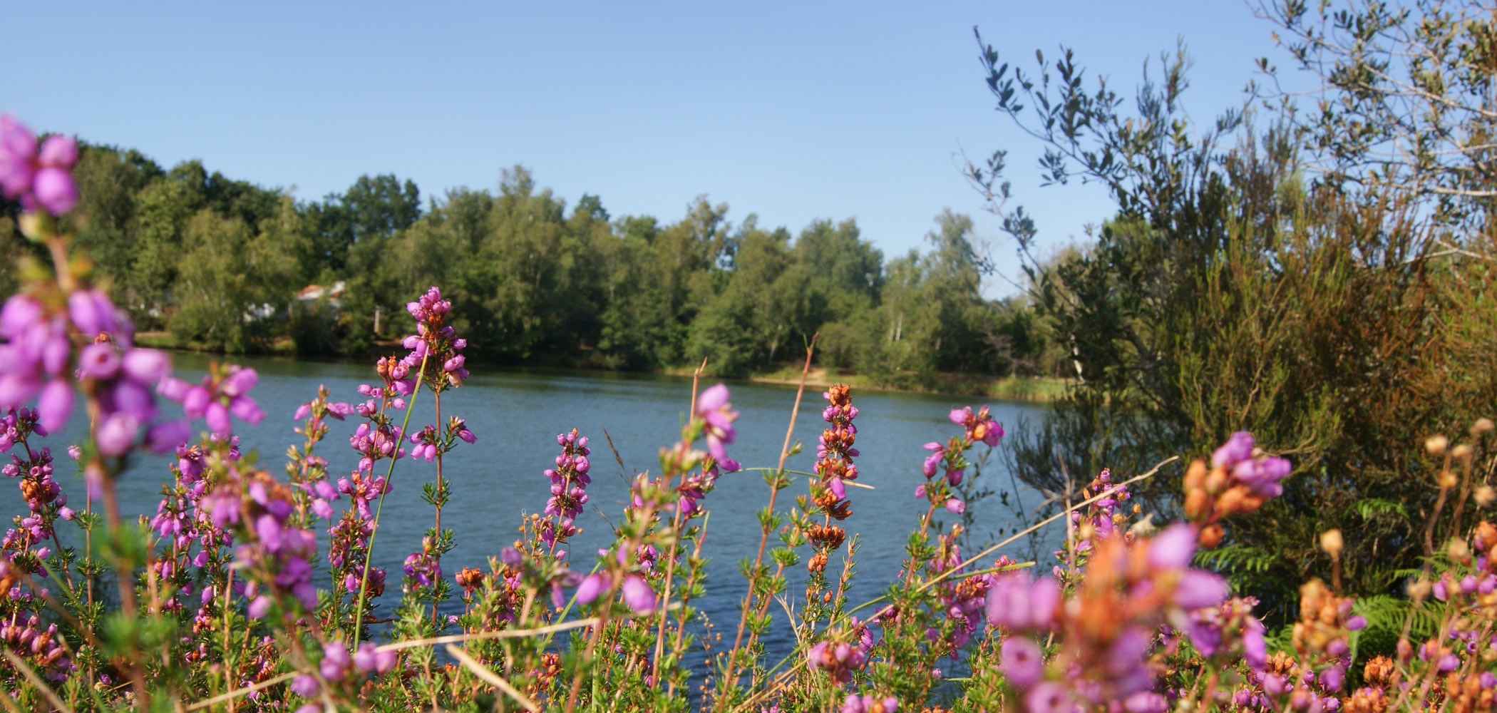  Camping Les Étangs Mina — Foto 1