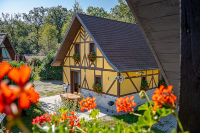Chalet Alsacien - 4 Bedrooms