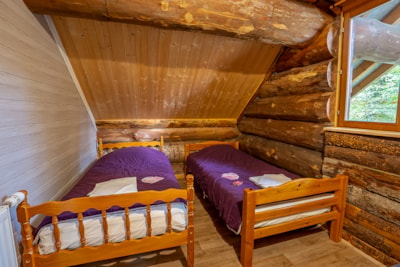 Log Cabin Ballon d'Alsace