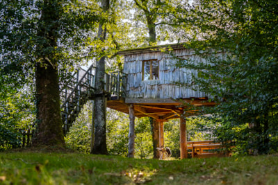 Suspended cabin Robin Hood