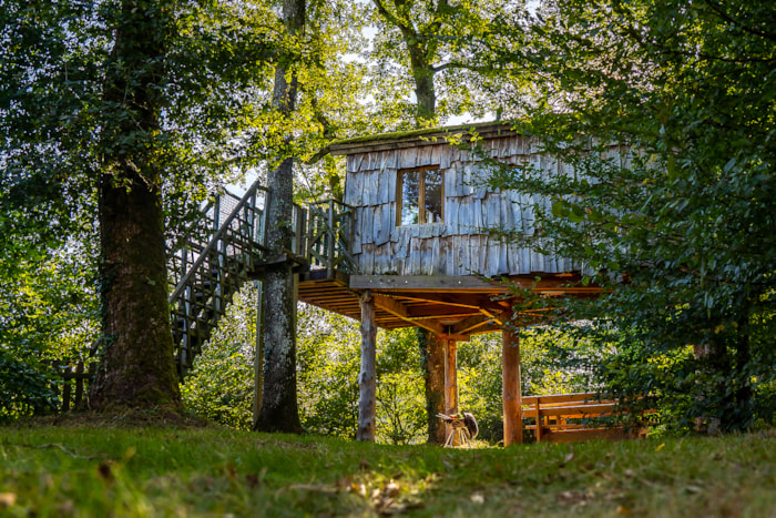 Cabane Suspendue Robin Des Bois