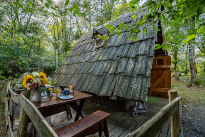 Cabin Witch