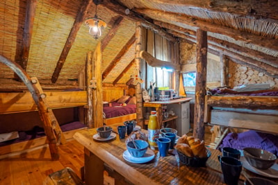 Cabin Lumberjack