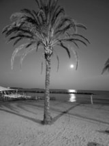 Foto #26 van Camping la Provençale