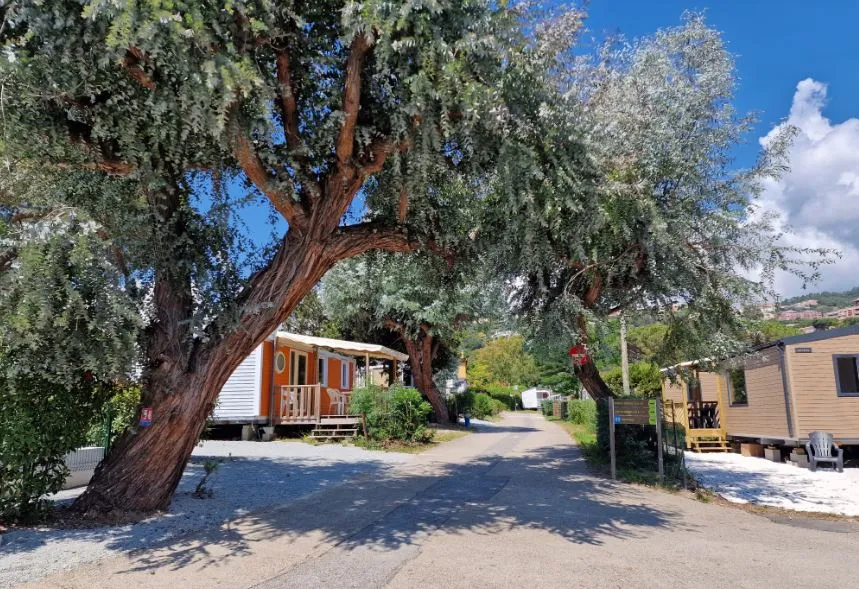 Camping la Provençale