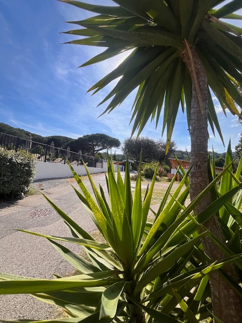 Camping la Provençale — Foto 5