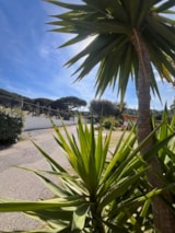 Foto #5 van Camping la Provençale