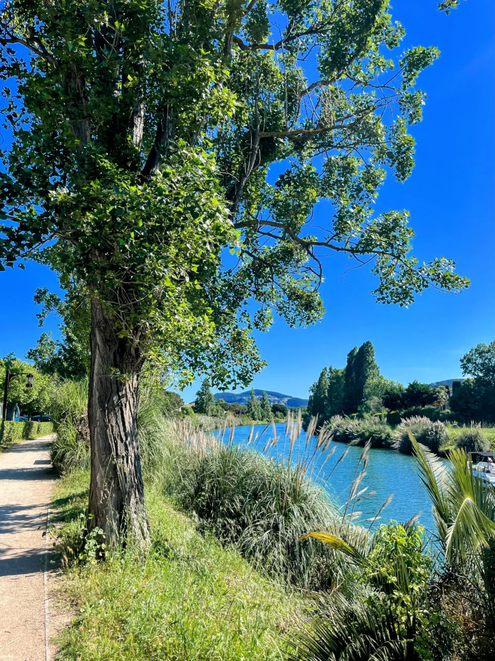 Camping la Provençale