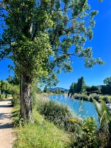 Foto #63 van Camping la Provençale