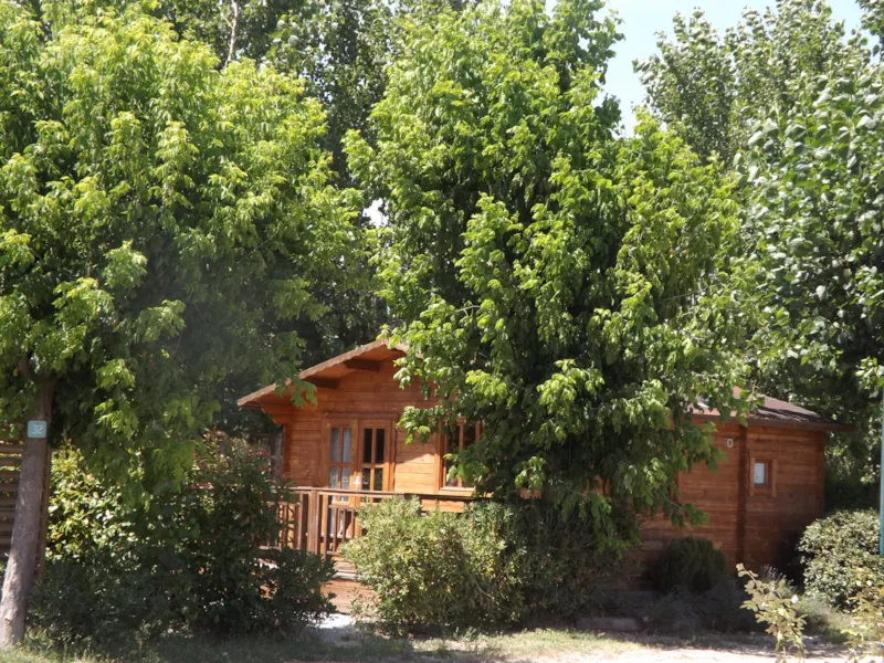 Chalet 1 Chambre 25M² Climatisé