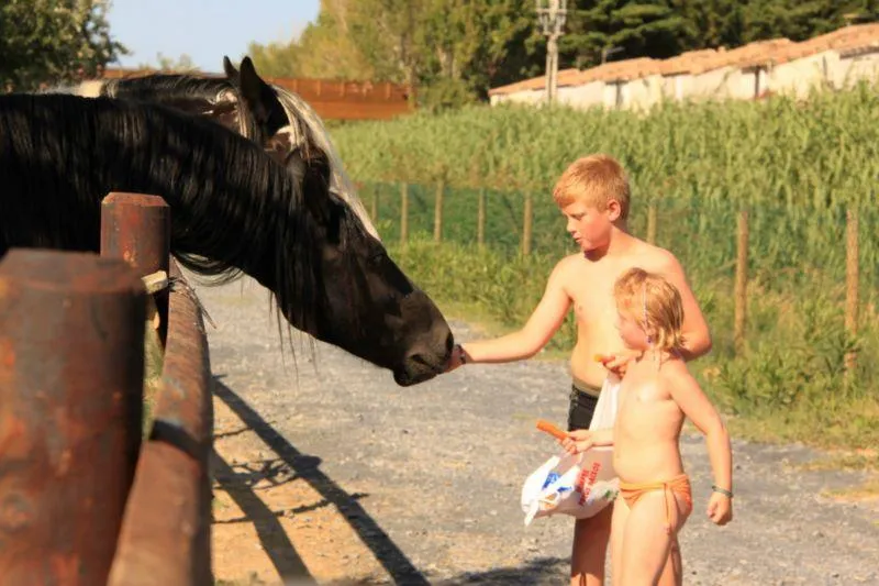 Camping Le Palais de la Mer