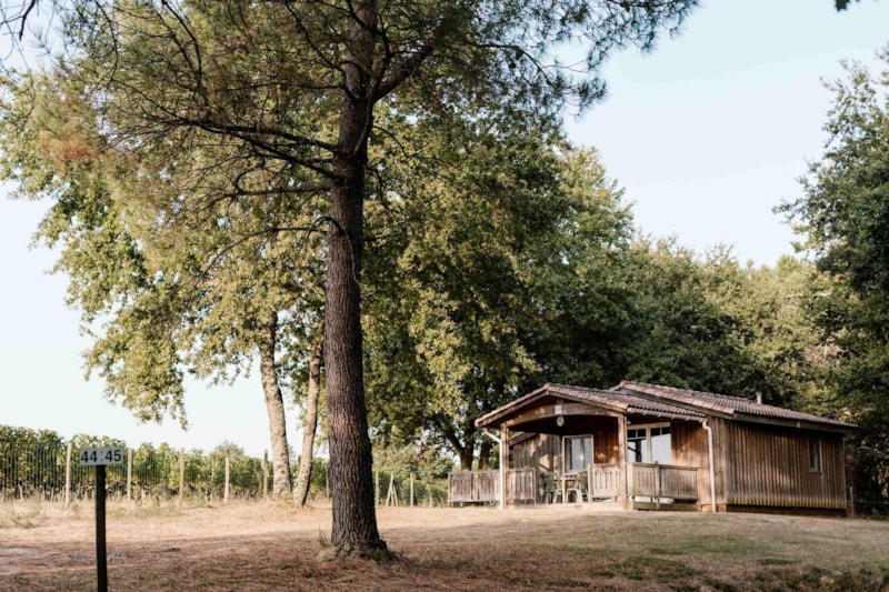 Hütte 2 - 40m² - 2 Schlafzimmer