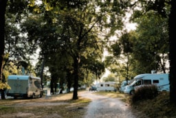 Kampeerplaats(en) - Comfort Kampeerplaats - Camping Chez Gendron
