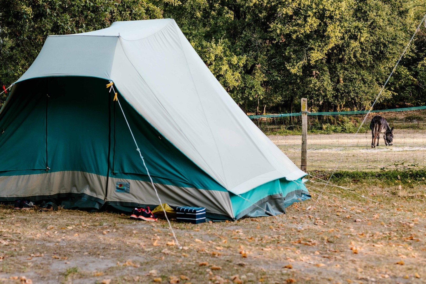Emplacement - Emplacement Nature - Camping Chez Gendron