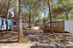 Mobilhome Alpieuro 2 Camere Mobilhome Alpieuro 2 Camere
