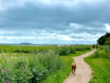 Foto #44 van HYGGE Strand Camping