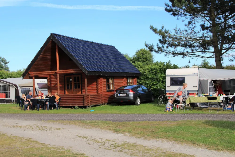 Mietunterkunft - Hütte 25 M²-Wc - Sejs Bakker Camping
