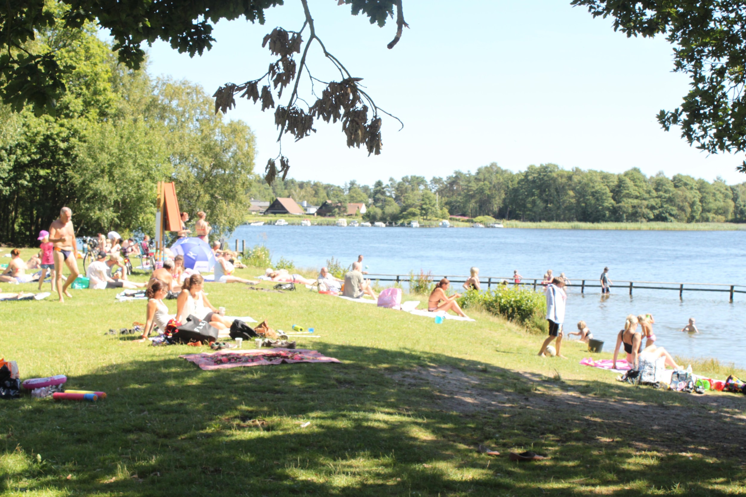 Sejs Bakker Camping — Photo 8