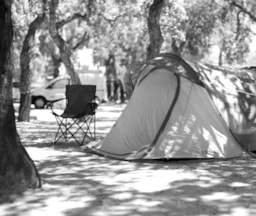 Kampeerplaats(en) - Standaardplaats Aan De Kant Van De Wijngaard Voor Tenten Zonder Elektriciteit - Camping des Mûres