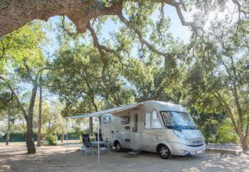 Emplacement - Emplacement Premium Côté Vignes (Environ 90M², Électricité 10A, Raccordement À L'eau) - Camping des Mûres