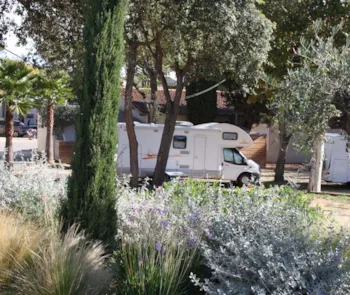 Emplacement - Emplacement Confort Plus Côté Vignes (Environ 90M², Électricité 10A) - Camping des Mûres