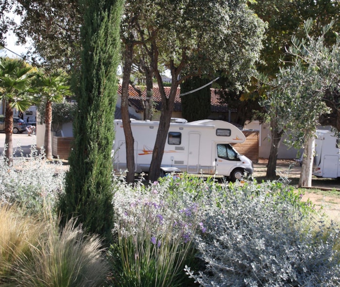 Emplacement Confort Plus Côté Vignes (Environ 90M², Électricité 10A)