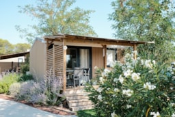 Accommodation - Mobile Home Premium Plus Vineyard - Camping des Mûres