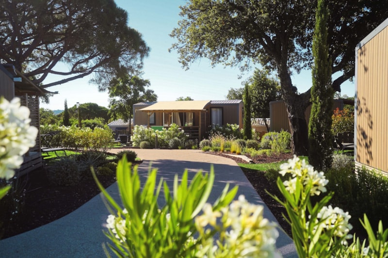 Casa mobile Premium Plus lato Vigne