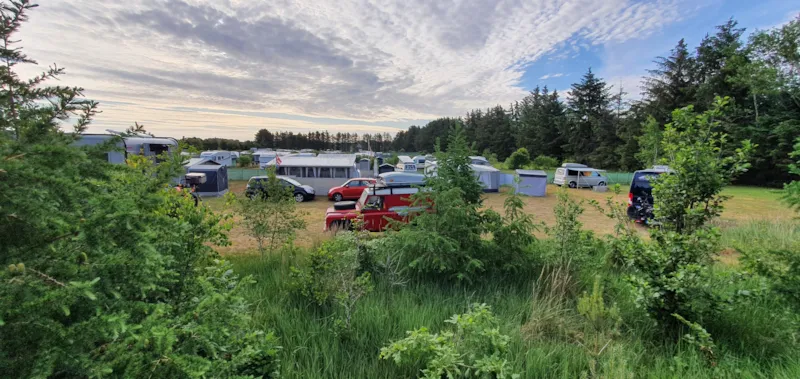 Emplacement Standard Tente/Caravane Ou Camping-Car