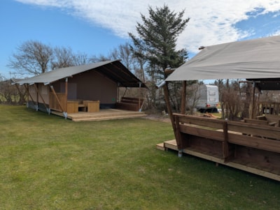 Safari tent 25m²