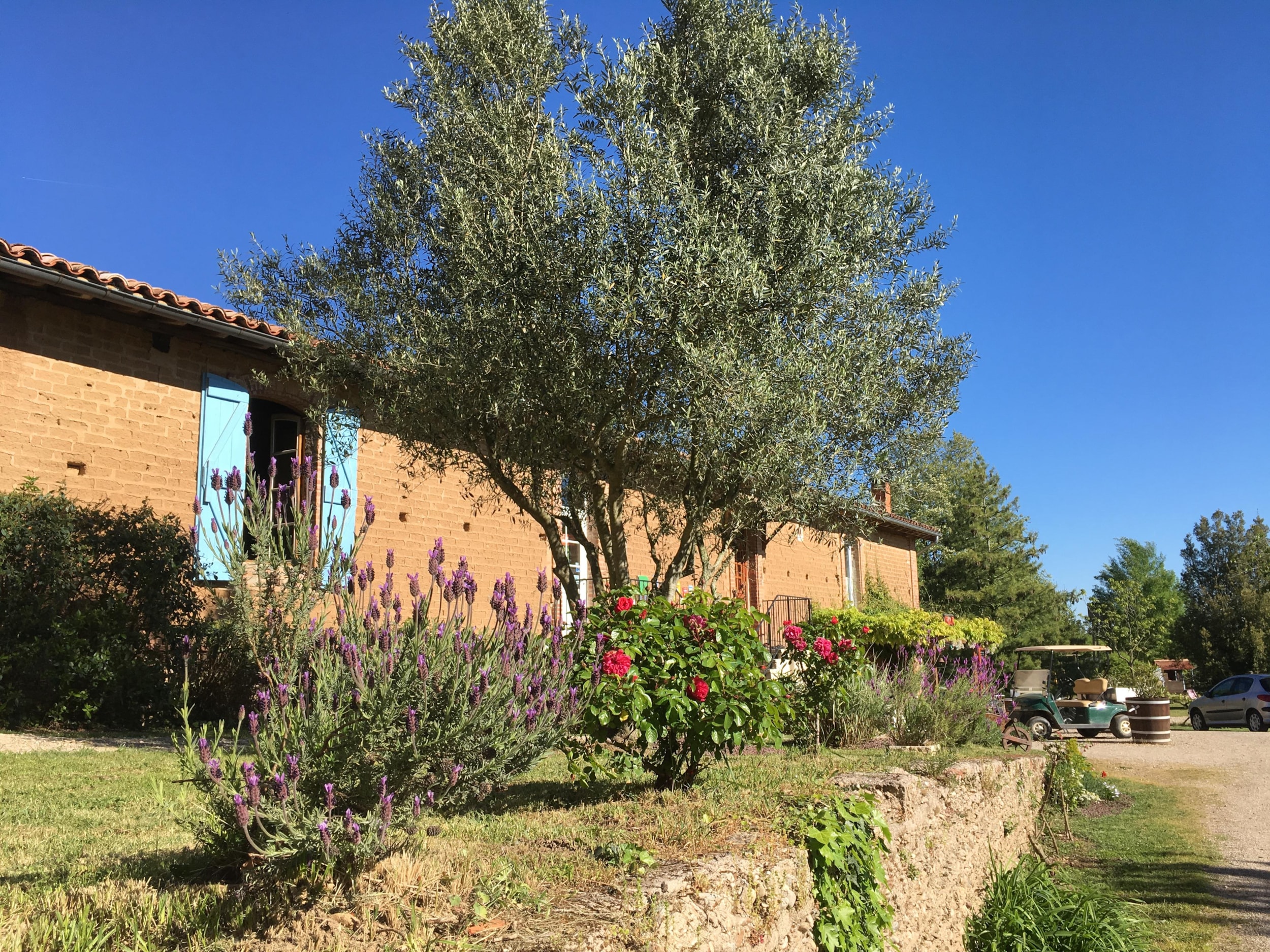 Les Chalets de Fiolles — Foto 6