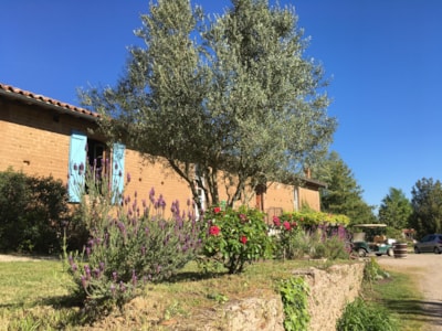 Les Chalets de Fiolles