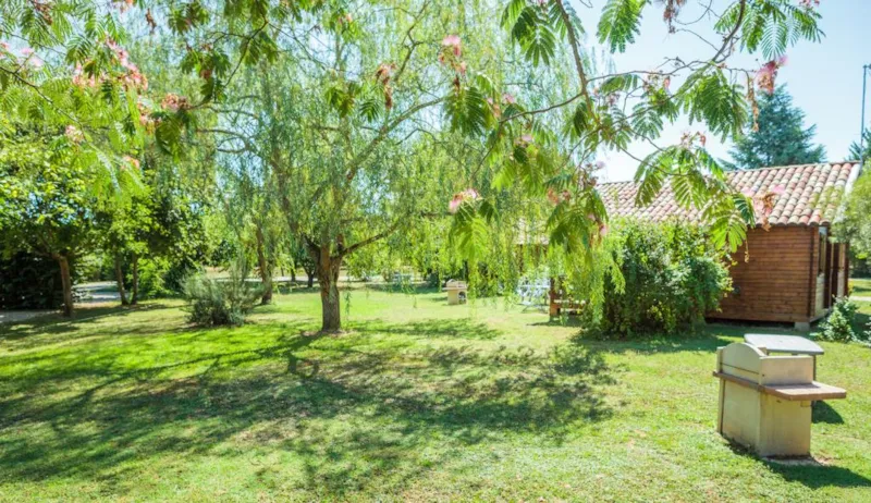 Chalet Confort 2 Ch - Clim - Tv - Bbq - Ménage * - 35M2 + Terrasse Couverte 14M2