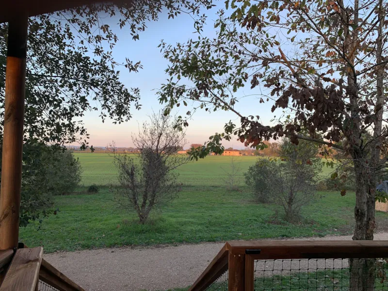Cabane Lodge Premium 2Ch - Clim-Lv -Tv-Bbq- Ménage*,Draps,Draps De Bain- 40M2 Terrasse Couverte 13M2