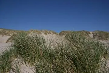 Nymindegab Camping - image n°13 - UniversalBooking