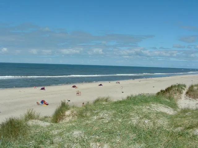 Nymindegab Camping - image n°14 - UniversalBooking