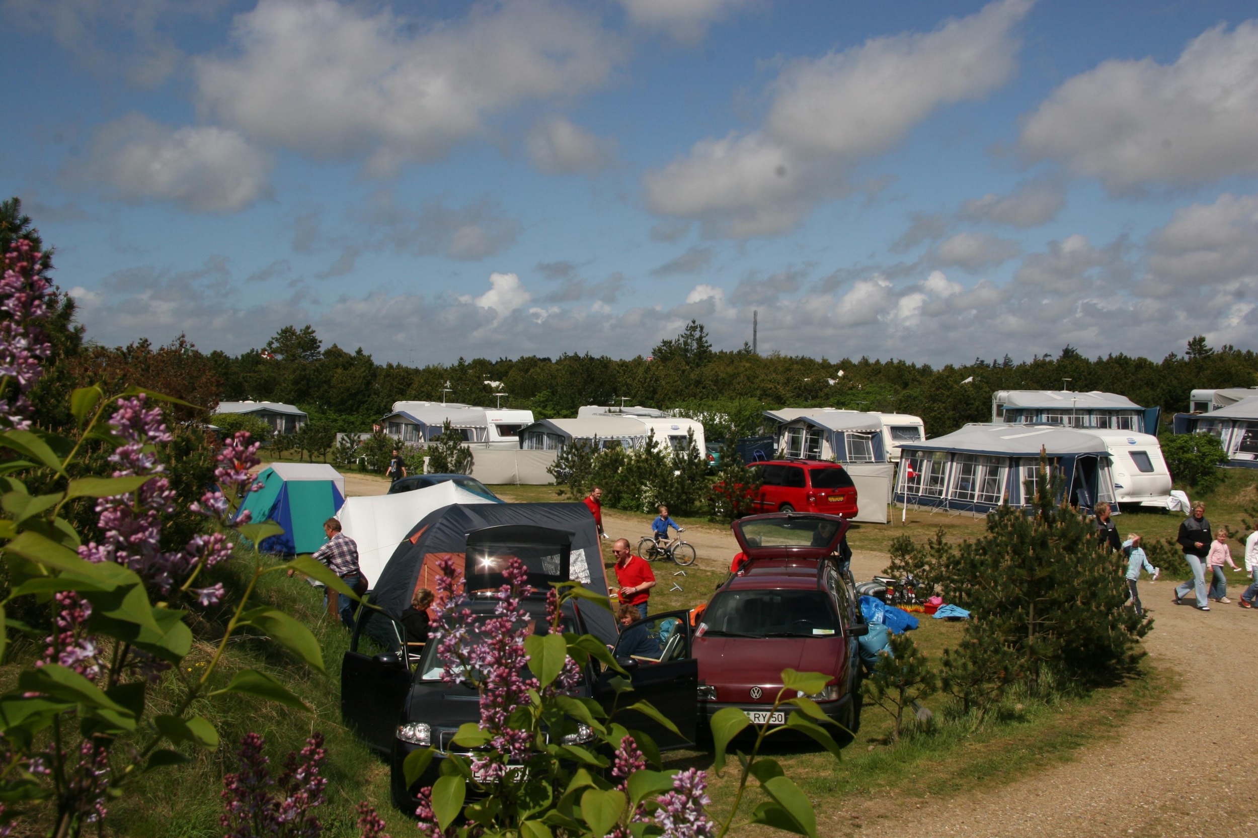 Nymindegab Camping — Photo 4