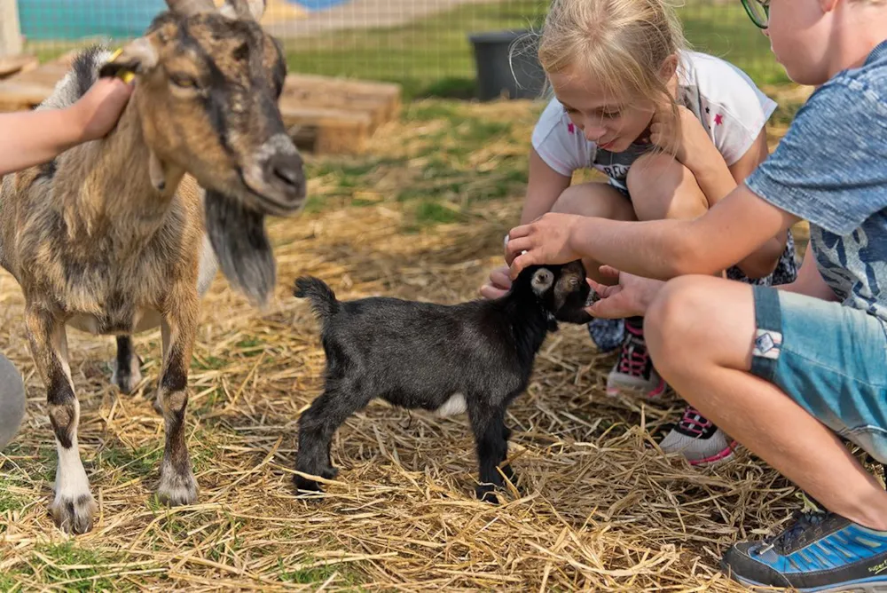 Nymindegab Camping - image n°26 - UniversalBooking