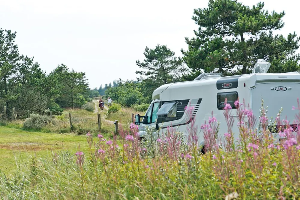 Nymindegab Camping - image n°35 - UniversalBooking