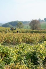 Foto #30 van Flower Camping Le Soleil des Bastides