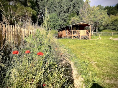 Lodge VIP Premium 32m² 2 bedrooms + sheltered terrace 11m² + with air-conditioning