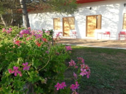 Mietunterkunft - Ferienwohnungen Alhama - Camping Lago Resort