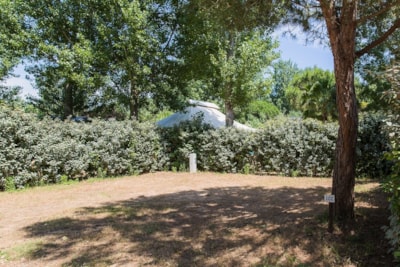 Camping Pitch Access Tent 80M² — 1
