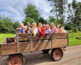 Foto #16 van Vestbirk Camping