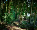 Foto #20 van Vestbirk Camping