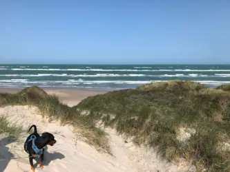 Blokhus Natur Camping - image n°2 - Camping Direct