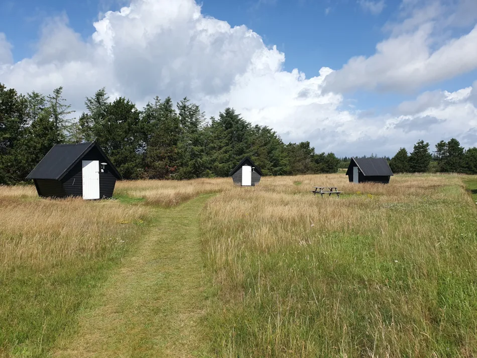 Blokhus Natur Camping